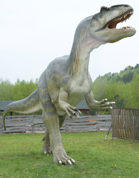 Krasnobród_8.png