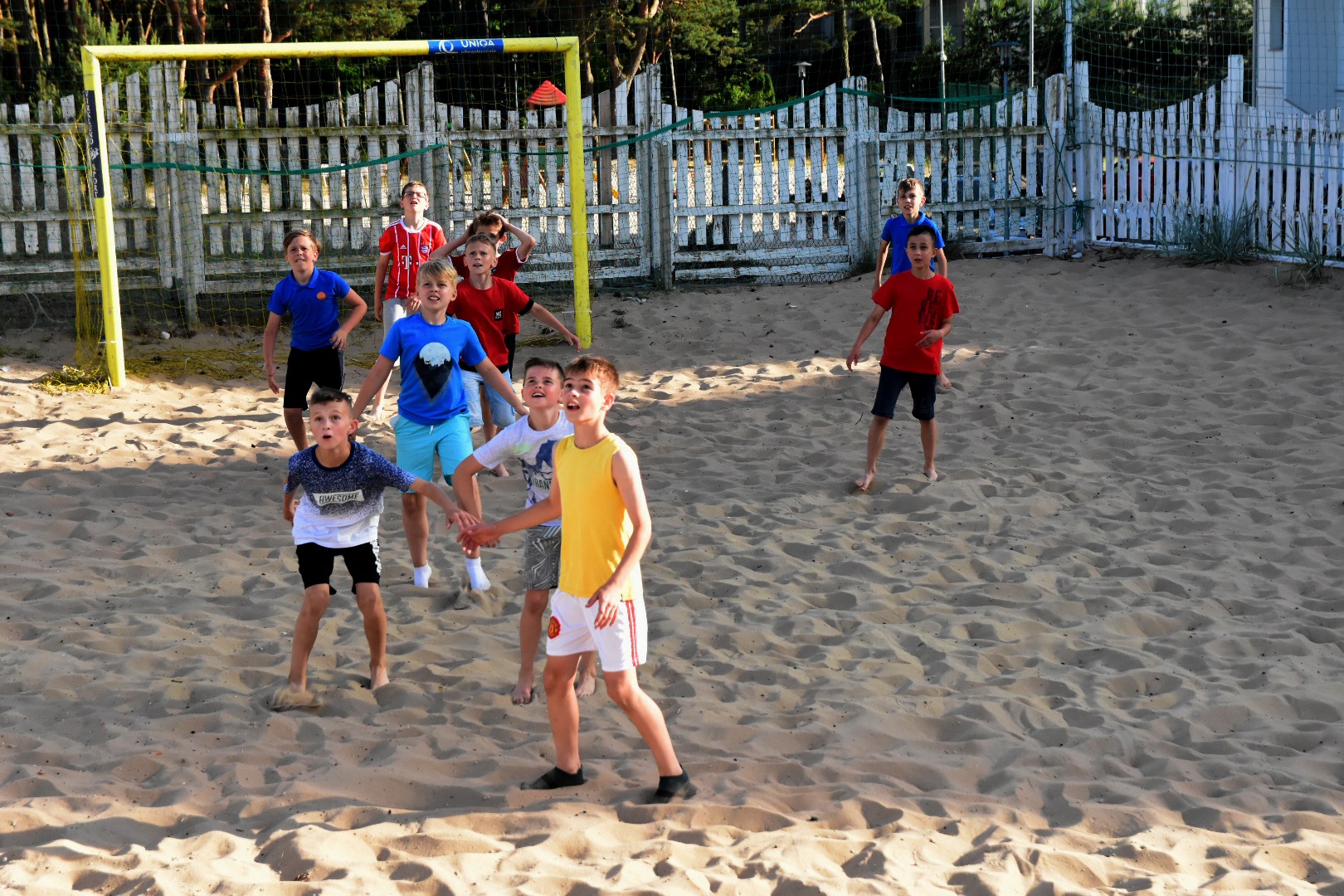 64953421_2031027617204038_5406094194676596736_o