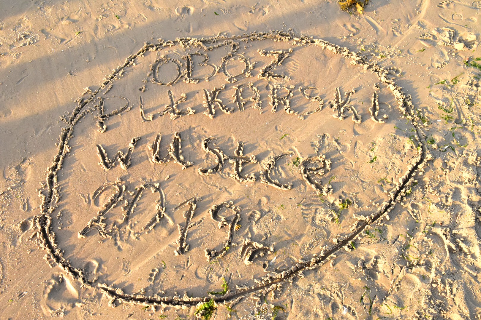 64977614_2031028003870666_1172552210978963456_o