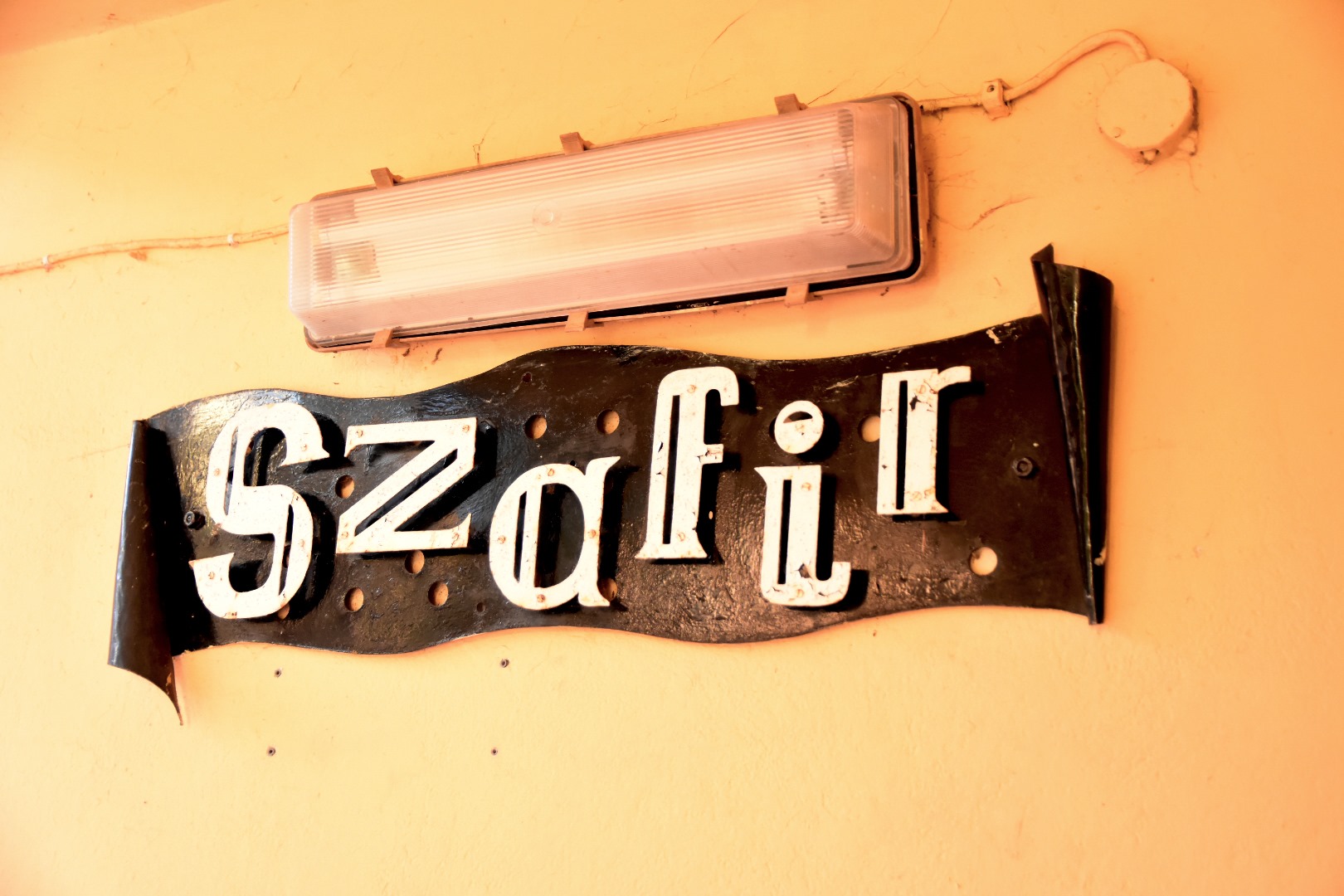 65006020_2031025783870888_6410982156708872192_o