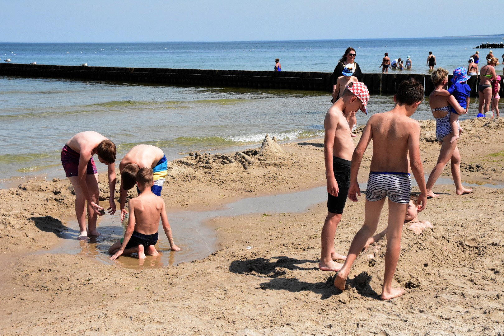 65098043_2031068930533240_9055868509879271424_o