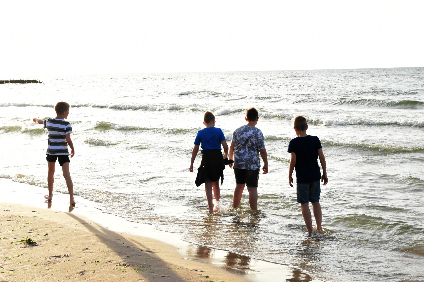 65117374_2031027970537336_390834366009311232_o