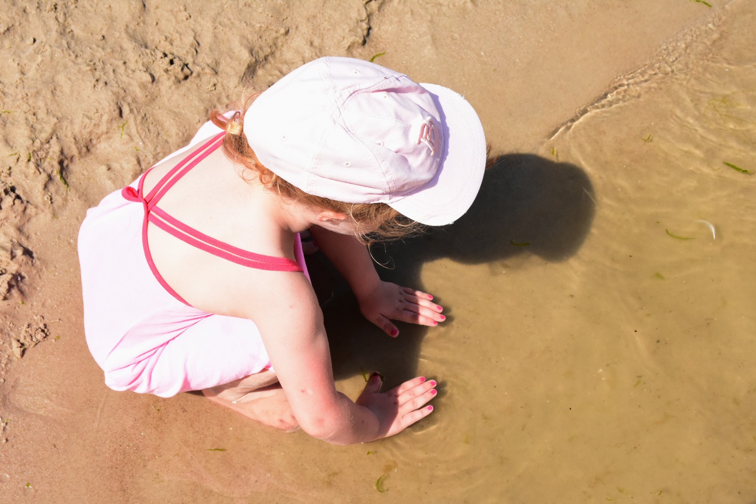 65151543_2031068507199949_1195301875356794880_o