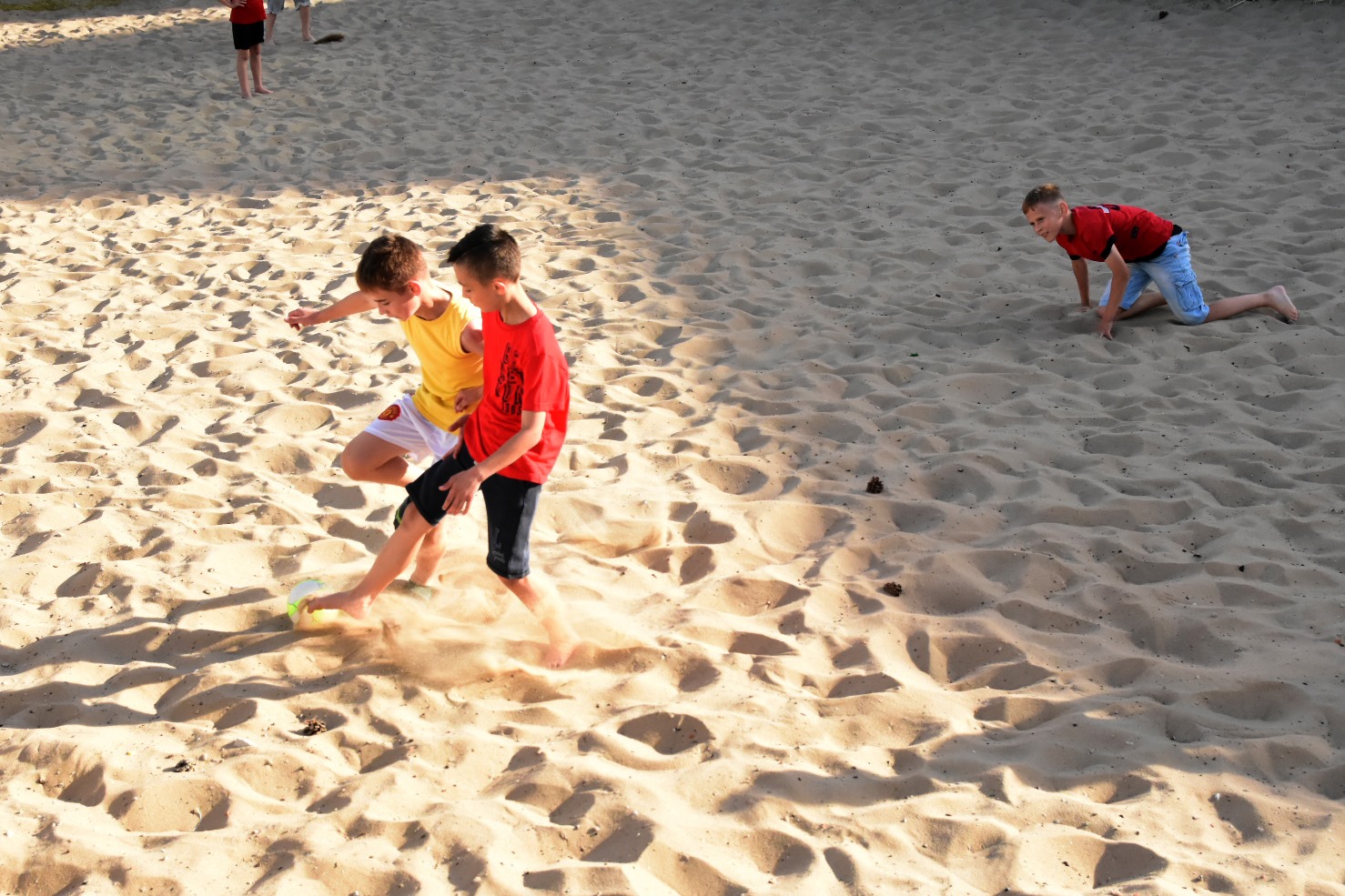 65167933_2031023793871087_8106912708646928384_o