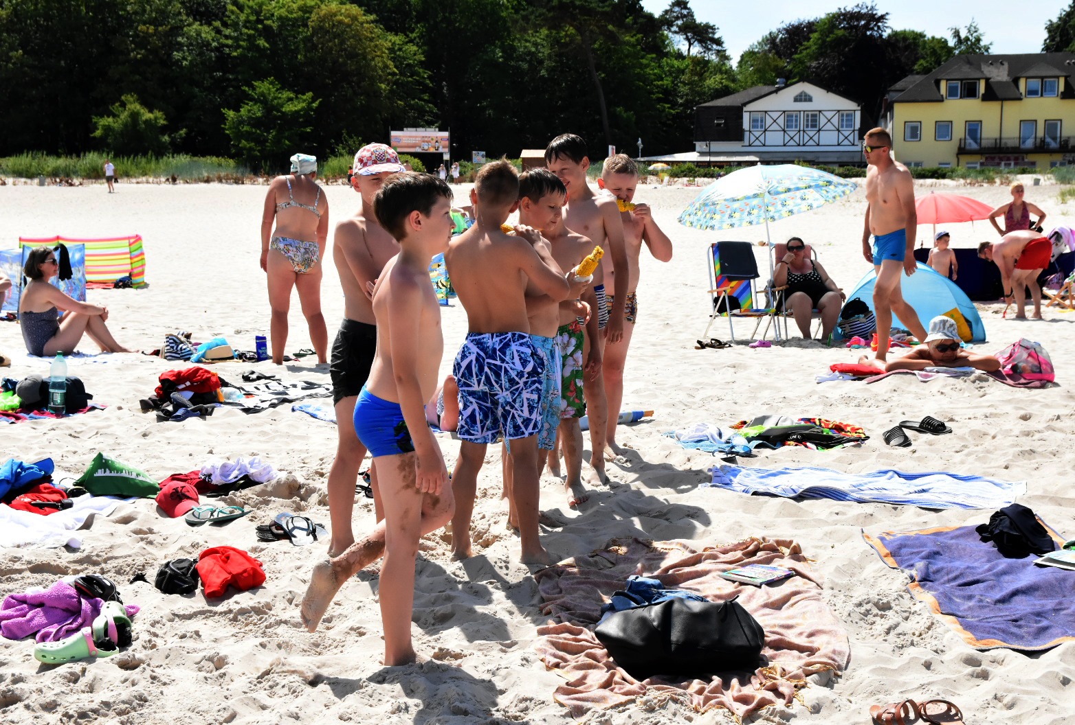 65234465_2031069007199899_9041126958053720064_o