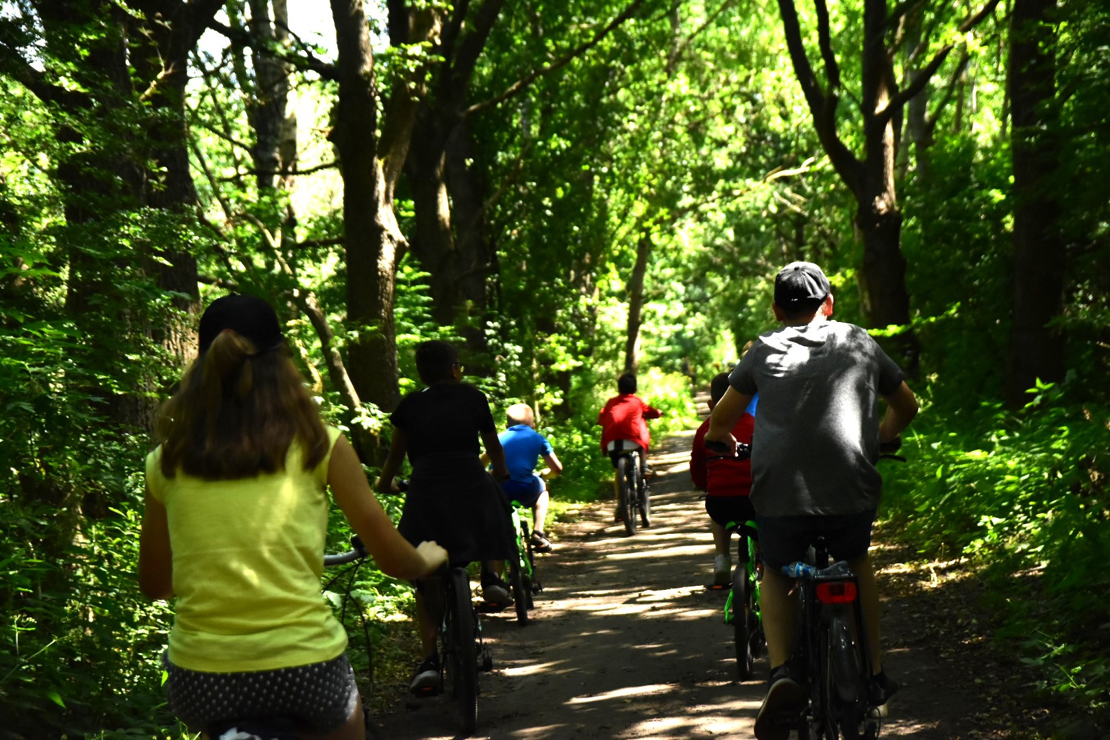 65309367_2033102220329911_7914493165854261248_o