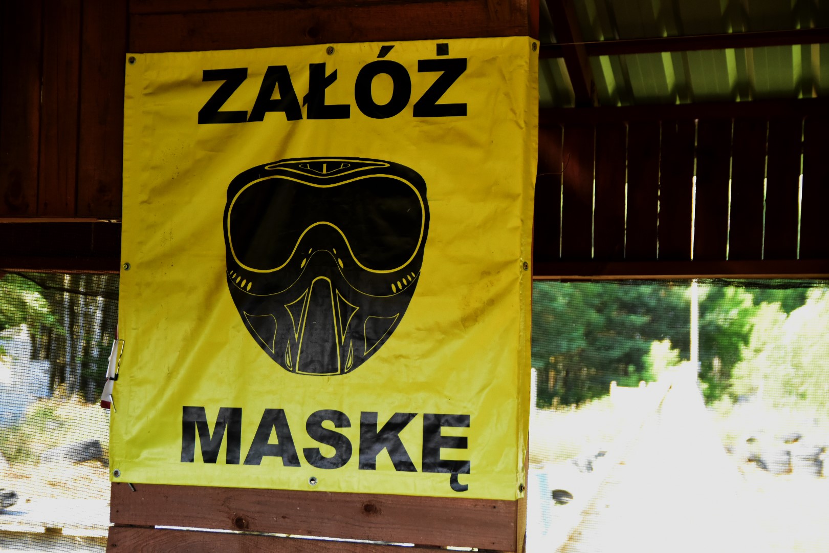 65450914_2031849460455187_9179499366832930816_o