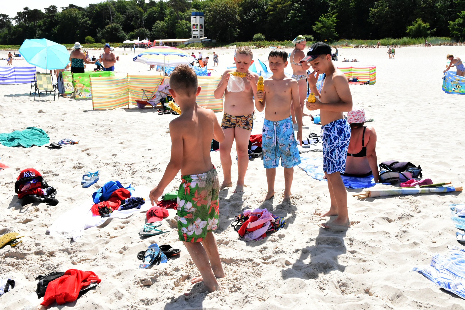 65516147_2031069163866550_5345939445369536512_o