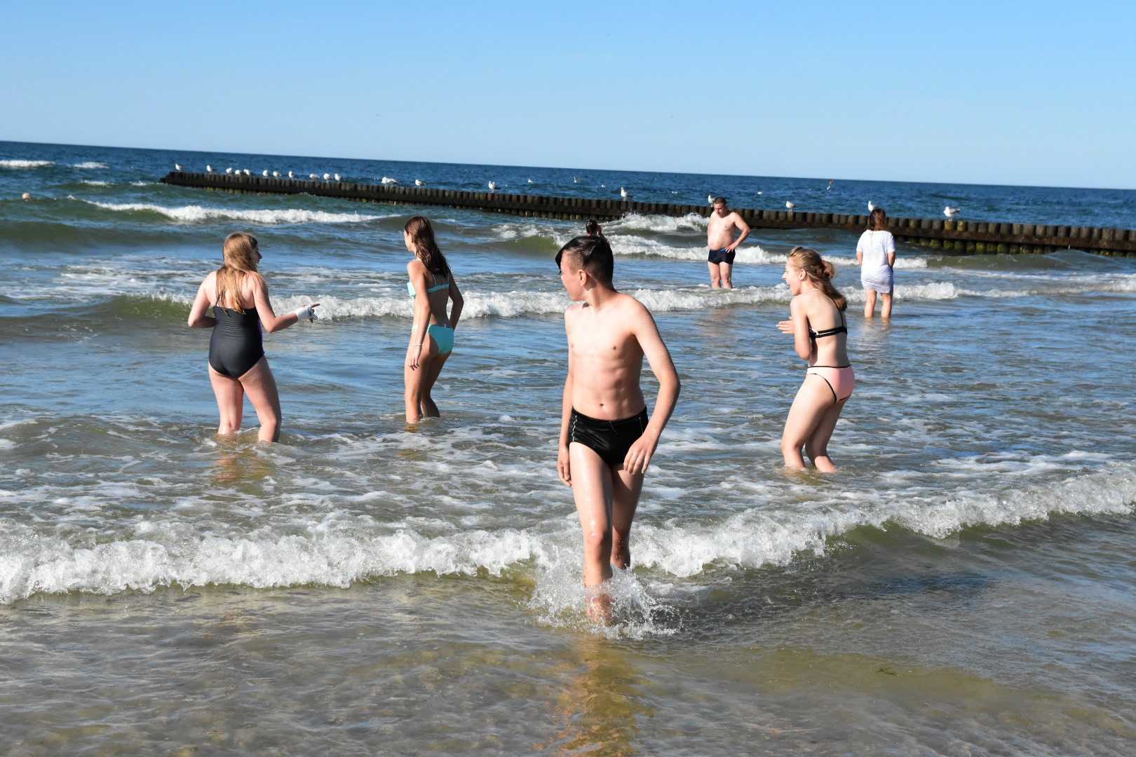 65620212_2033128620327271_6515936112152674304_o