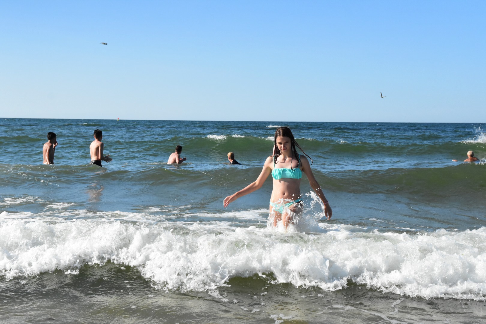 65783072_2033128703660596_4020850809448169472_o