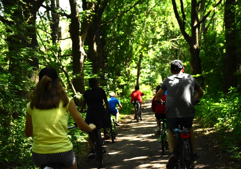 65309367_2033102220329911_7914493165854261248_o