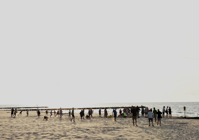 65487118_2031023397204460_2090770739455066112_o