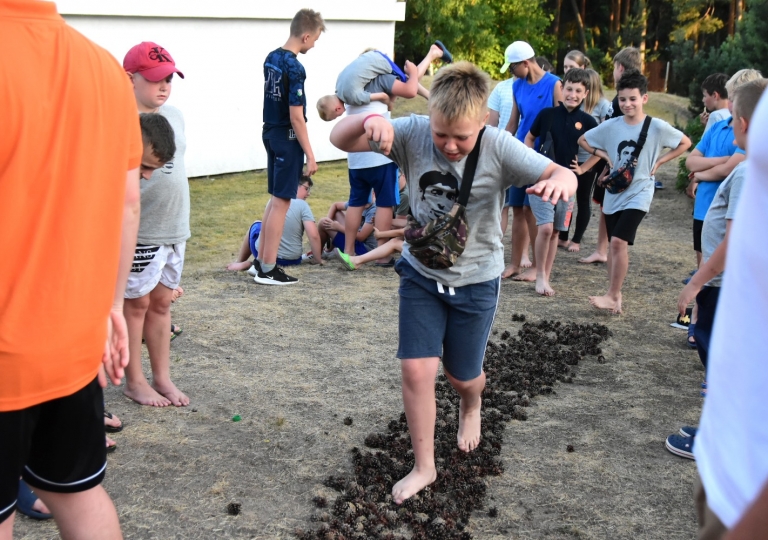 65520581_2035263673447099_5678689038739963904_o