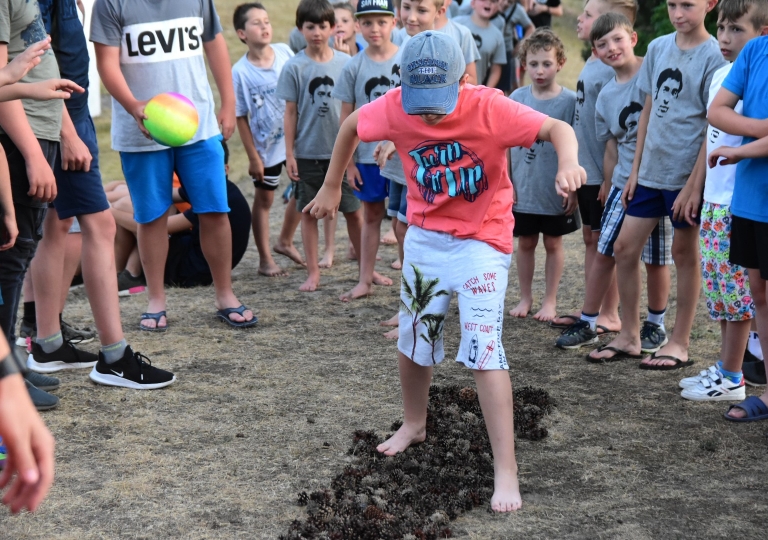 65785982_2035252560114877_1391066888435400704_o